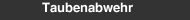 Taubenabwehr
